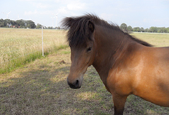 Glanna in Niedersachsen